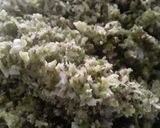 Foto del paso 2 de la receta: Falso arroz de brócoli!!! 🍙🍚🥦🥗🥙🍙🍚