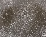 A picture of step 3 of Famous Kathiyawadi Thabdi Peda Sweet.