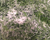 Foto del paso 4 de la receta: Ensalada de espinaca cruda y aceite de oliva