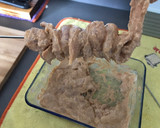 Foto del paso 8 de la receta: Kebab de pollo, receta David Muñoz