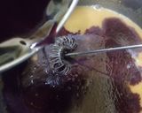 Foto del paso 3 de la receta: Salsa reducción de vino tinto
