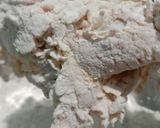 Foto langkah ke 7 dari resep Ayam Goreng Tepung Crispy.