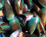 Foto langkah ke 1 dari resep Kerang Hijau Rebus.