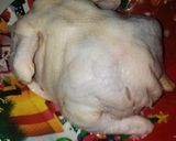 Foto del paso 1 de la receta: Pollo horneado para papa.