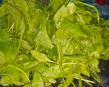 A picture of step 1 of Palak Paneer.