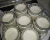 Foto del paso 3 de la receta: Yogures de limón y canela en yogurtera