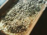 Foto del paso 1 de la receta Pan libre de gluten cubierto de semillas