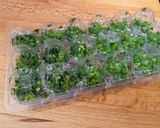 Foto del paso 3 de la receta: Ajoperejil