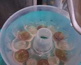 Foto langkah ke 1 dari resep Puding Buah Melon.
