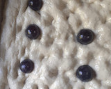 Foto del paso 4 de la receta: Focaccia dulce🌻