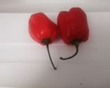Foto del paso 2 de la receta: Salsa Brava