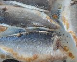 Foto del paso 1 de la receta Lubina con almejas y vinagreta