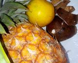 Juicematakin girki1 hoto