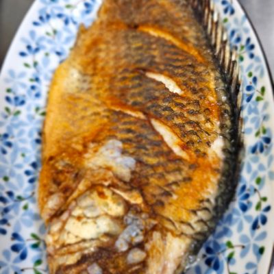 Diana Melison bilan bepul porno