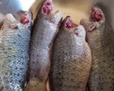 A picture of step 1 of Tel Koi (climbing perch fish).