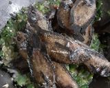 Foto langkah ke 8 dari resep Ikan Tembakang Cabe Hijau Ala Minang (Ikan Cabe Hijau).