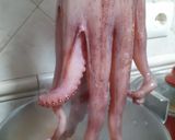 Foto del paso 2 de la receta: Pulpo a la gallega con cachelos