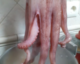 Foto del paso 2 de la receta: Pulpo a la gallega con cachelos