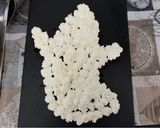 Foto del passaggio 7 della ricetta Torta fantasmino