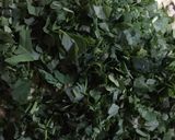 A picture of step 7 of Alu and fresh meethi ke parathe.