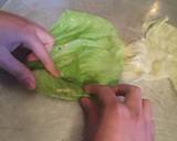 Stuffed Cabbage recipe step 14 photo