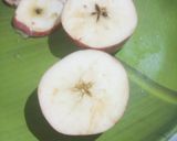 ক্ষীর আপেল বাস্কেট(Khreer apple busket) রেসিপি ধাপ - 2 ছবি