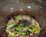 A picture of step 2 of Bottle Gourd and Beans Curry.