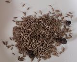 A picture of step 2 of Kokam chutney.