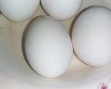 A picture of step 1 of Egg mgz.