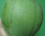Foto langkah ke 1 dari resep Manisan Mangga.