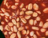 Paradicsomos gnocci, törökmogyorós spenótos pestóval recept fázis 3 fotója