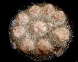 Foto del paso 3 de la receta: Albóndigas en salsa