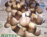 A picture of step 1 of Straw Mushroom Besar.