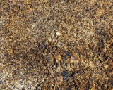 Foto del paso 5 de la receta: Crumble vegano light