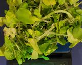 Foto del paso 2 de la receta: Ensalada surtida muy completa