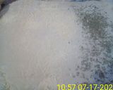 Foto del paso 3 de la receta: Talitas