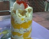 A picture of step 1 of Mangofaluda.