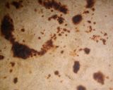A picture of step 3 of Masala roti.