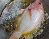 Foto langkah ke 2 dari resep Ikan Nila Goreng Garing.