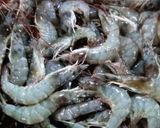 Foto langkah ke 1 dari resep Udang Bawang Putih.