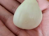 Esquítes a mi estilo
