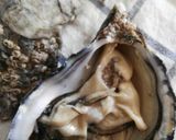 Foto del paso 3 de la receta Sopa de ostras francesas