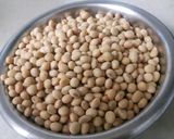 A picture of step 1 of #सोयाबीन दूध सोयाबीन आमलेट.