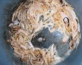 Foto del paso 3 de la receta: Sopa de cebolla