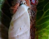 Foto del paso 2 de la receta: Verduras rellenas (repollo)