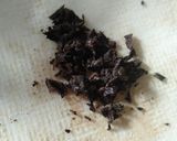 Foto langkah ke 1 dari resep Telor dadar asam sunti.