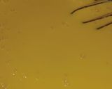A picture of step 7 of Mango custard cake with green mango tree.