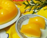 Foto langkah ke 4 dari resep Puding Busa Nutrisari.