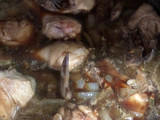 Ayam Bombai Kecap