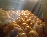 Foto del paso 8 de la receta: Medialunas de manteca